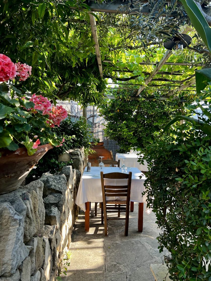 A path of tables under a green canopy of vines, pink geraniums in a pot on a dry stone wall in front