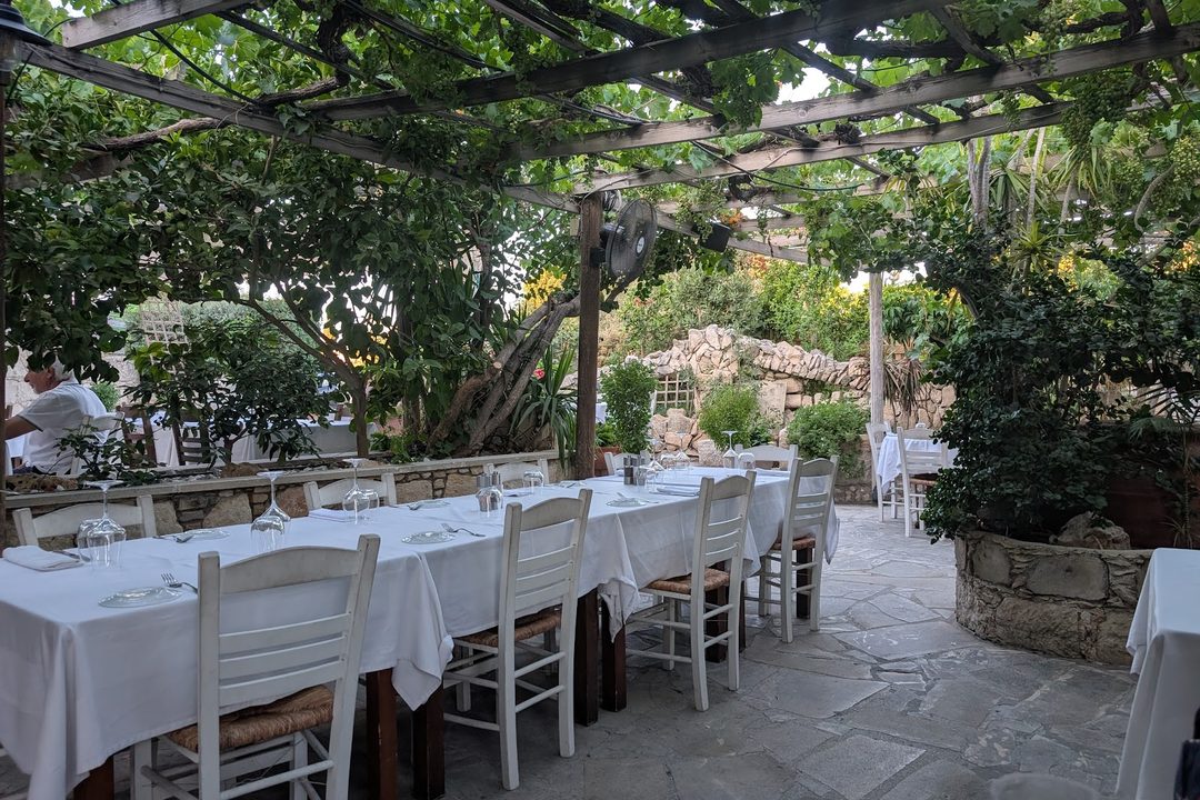A long row of tables in white cloths under the vine pergola in the restaurant's garden, on a sunny afternoon