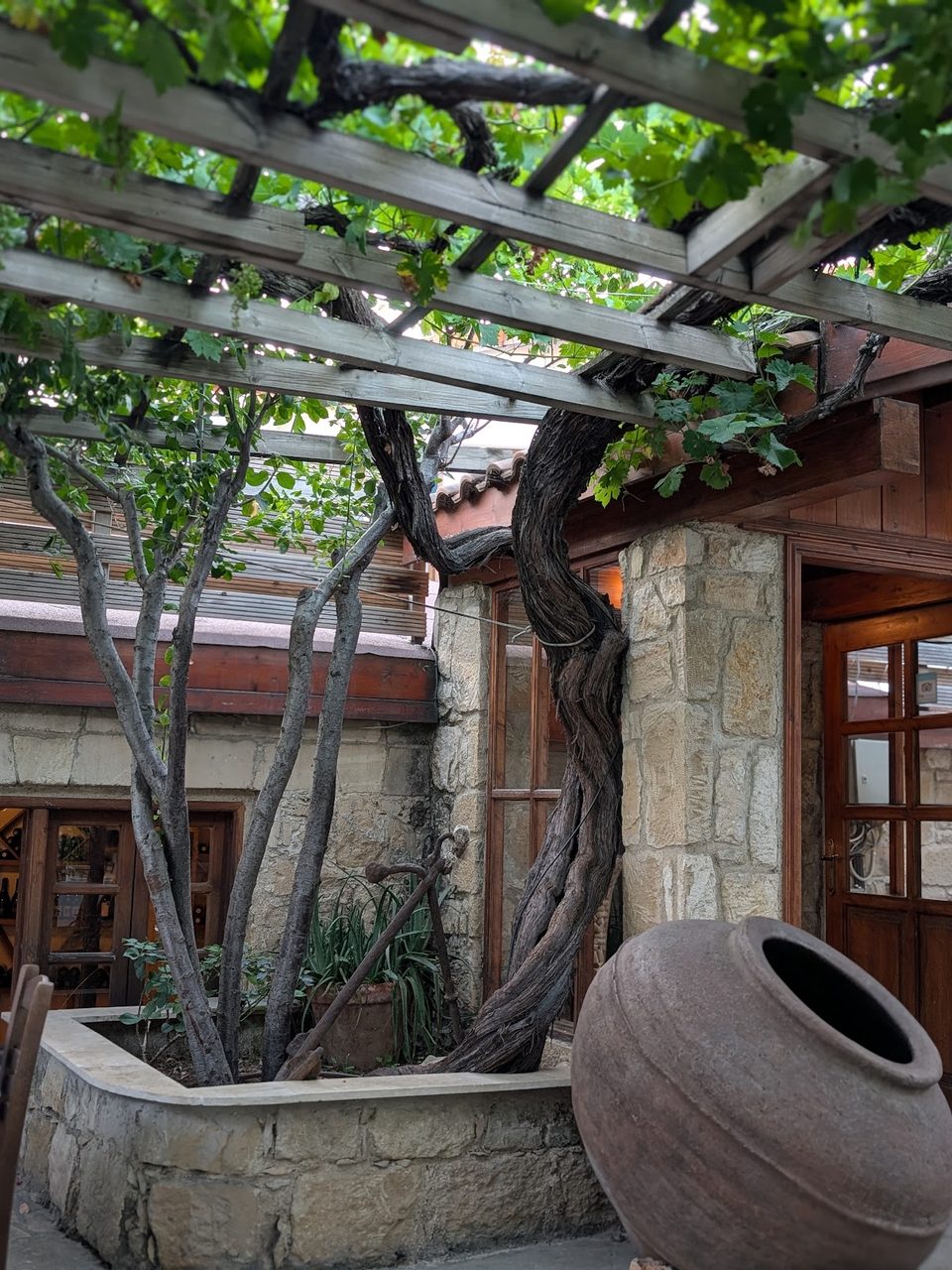 An old vine trunk climbing to the pergola beside the stone house, its wooden doors open, with a large clay jar on the flagstones